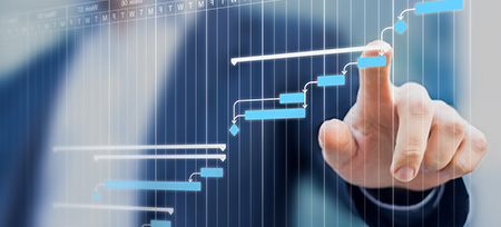 Lonehill Systems provides SYSPRO ERP Development
